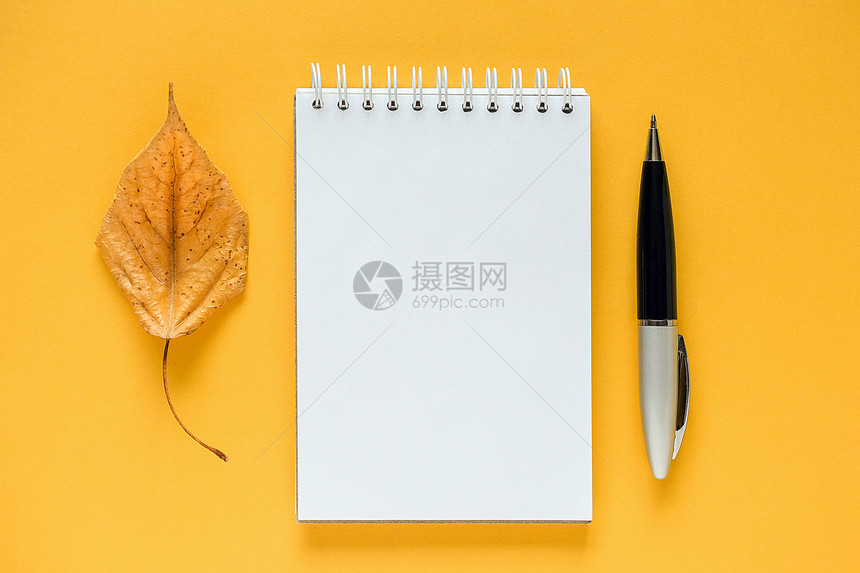 黄色背景上的纸笔和秋叶图片
