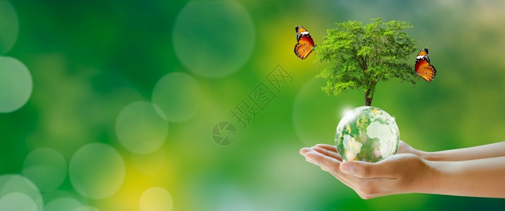 水晶商业与蝴蝶绿色背景博克世界心理健康和地球日拯救环境和世界生态概念一起在环球晶玻璃上开花的树闪亮散景背景图片