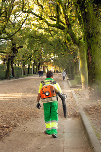 阿拉米达园丁与吹风背包在城市公园工作落下小路树背景
