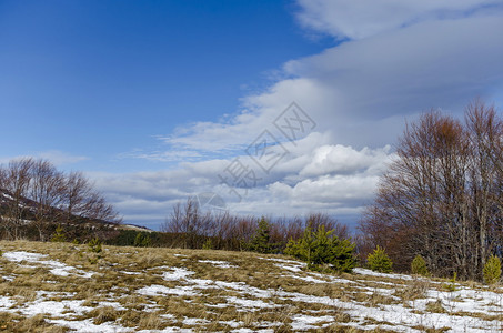 云天冬季山寒雪地洞穴和从普兰塔山向维托沙保加利亚欧洲倾斜的森林分支多云远足图片