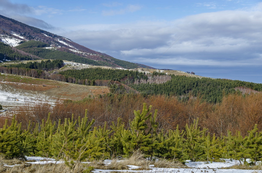 云天冬季山寒雪地洞穴和从普兰塔山向维托沙保加利亚欧洲倾斜的森林谷天空树图片