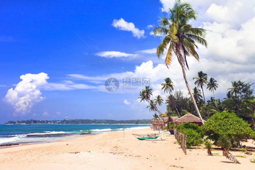 风景游客树外来热带休眠日斯里兰卡南部海滩上的坦噶勒岛和斯里兰卡自然的宁静美丽海滩图片