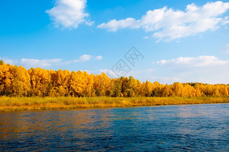 秋季湖光秋色图片