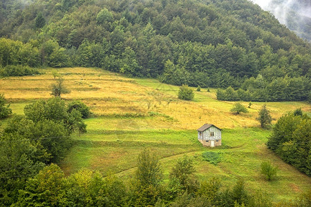 一座山上的古老木屋在一座山丘上树绿色森林背景