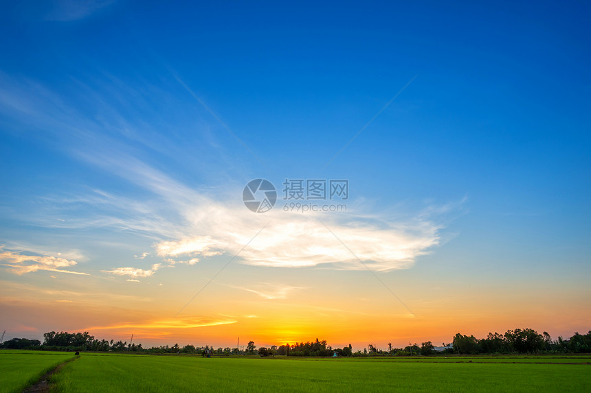 大气层丰富多彩的晴天蓝色空背景纹理白云日落美丽的绿色玉米田图片