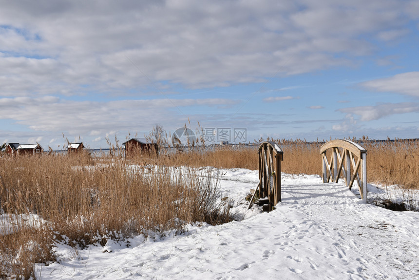 Farjestaden在瑞典奥兰岛的草原上用木桥脚路下雪的芦苇图片