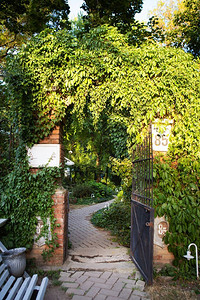 六月美丽舒适的庭院美丽入口假期夏天大海美丽的舒适庭院大海欧洲秋天图片