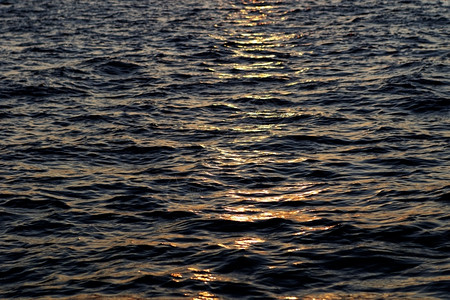 自然美国海洋日落摄影图片