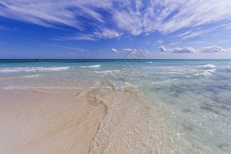 晴天热的加勒比海滩与水清透的海岸景象美丽的图片