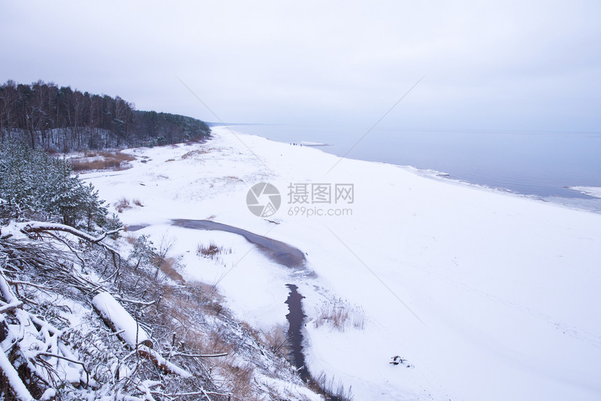 状态白雪木头和蓝天空黄海为自然摄影2018年美丽的拉脱维亚大自然寒冷的波罗海图片