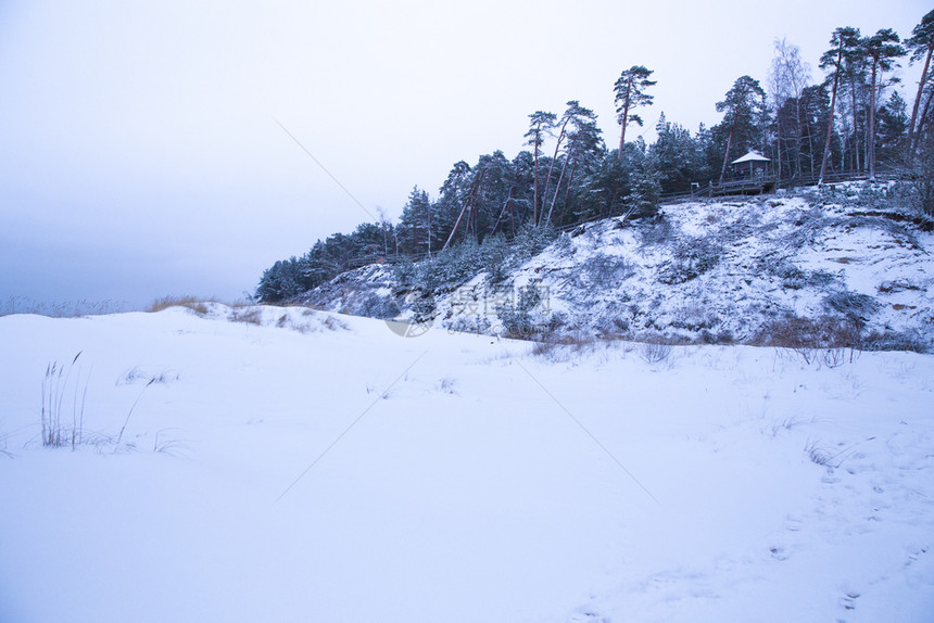 公园田诗般的一月白雪木头和蓝天空黄海为自然摄影2018年美丽的拉脱维亚大自然图片