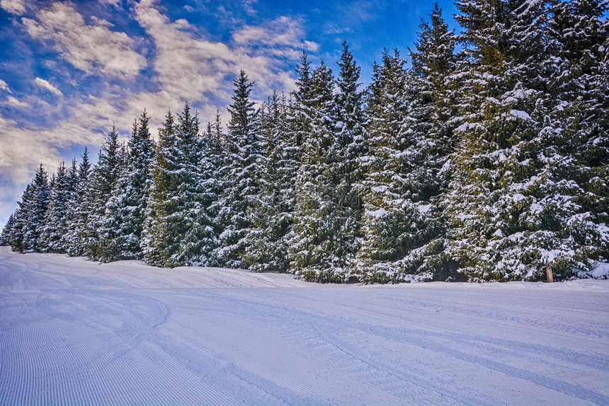 户外吉尔斯坦卡拉科勒美丽的冬季风景雪森林和云雾高山多的图片