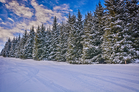 户外吉尔斯坦卡拉科勒美丽的冬季风景雪森林和云雾高山多的图片
