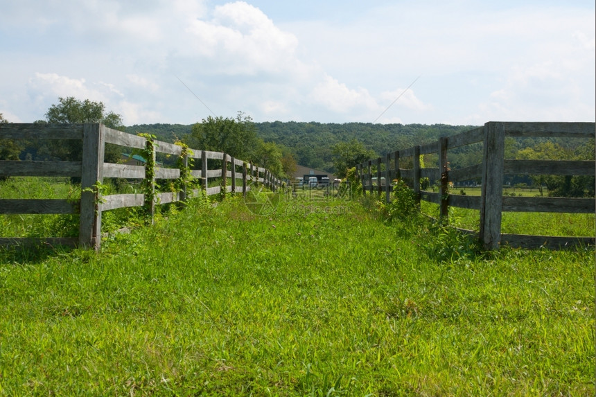 农场上古老木栅栏的景象夏天草地图片