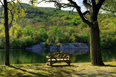 湖边的木制座椅图片