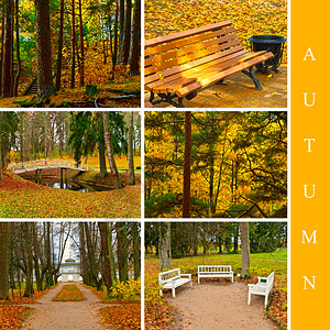 秋天从季样式中的6种不同图像中设置天十月图片