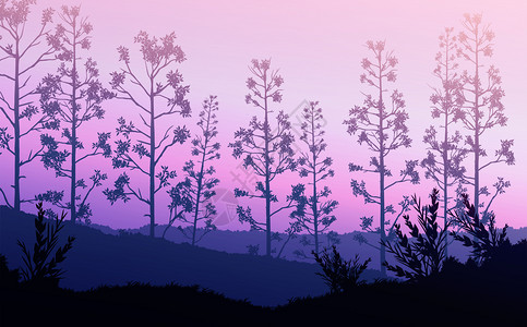 山树剪影暮树木地平线日出和落的夜晚风景壁纸说明矢量风格插图矢量风格彩色视图背景Colorfulview背景背景