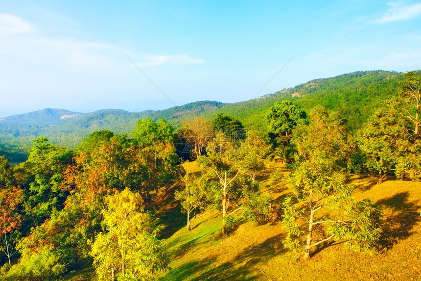 照片美丽的热带风景高角度视图泰国阳光自然图片