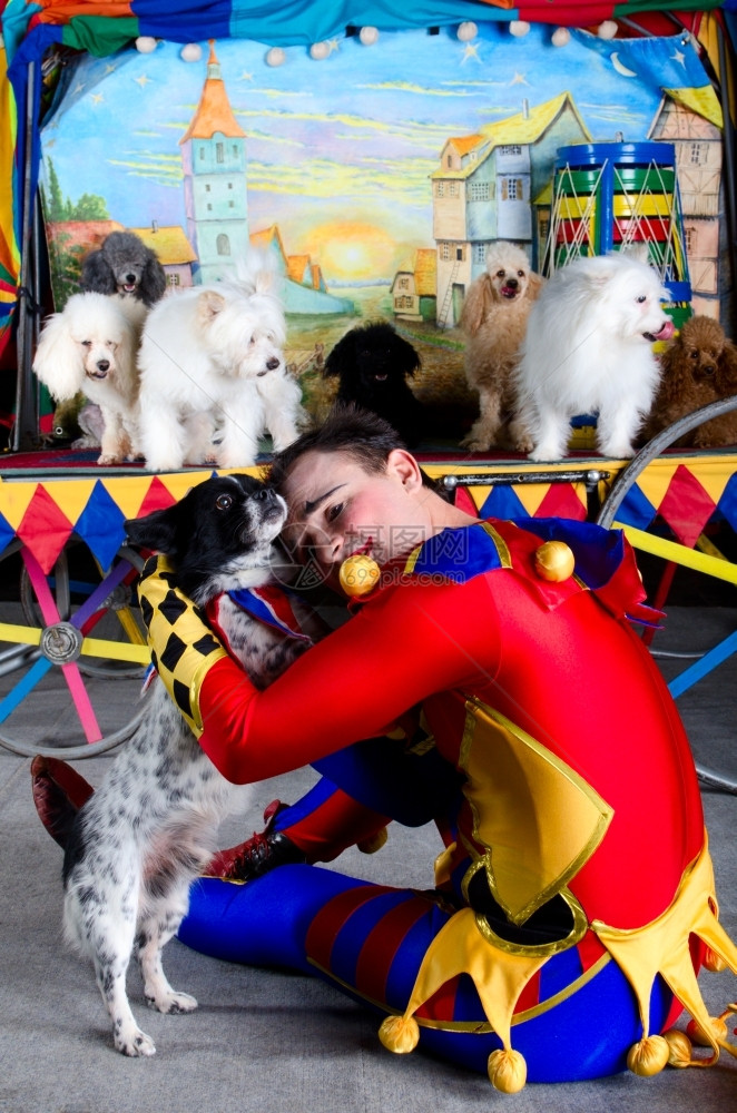沮丧忧郁中的哈勒金小丑拥抱着他的小狗在老城后轮群狗和画戏剧哭图片