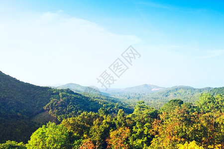 博斯凯奇地平线黄色的广阔美丽热带风景高角度视图泰国背景