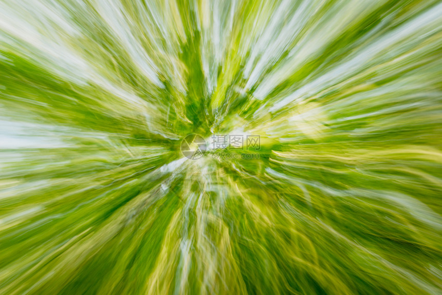 线条移动场景绿色黄和蓝树本绿新叶子的相片带有方向模糊和运动效果的青绿树枝细线和条纹缩放图片