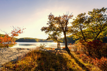 秋季森林湖泊风光图片