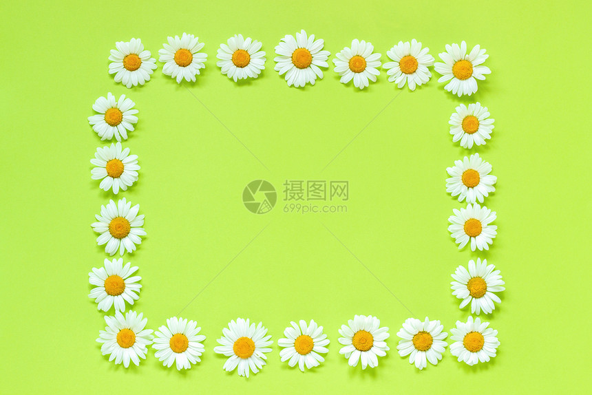 花卉构图框架矩形环在绿色背景上平躺Crearive顶视图自上而下的构图复制空间模拟板用于明信片刻字文本或您的设计框架花卉矩形环洋图片