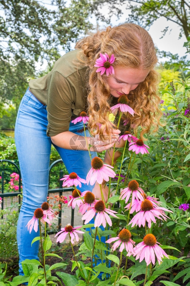 年轻的荷兰女青在花园里闻着紫菜茶花的香味帽子请享用草本图片
