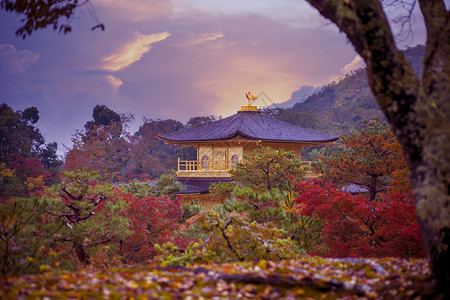 重要的地标风景优美金宫寺庙殿的圣京都日本徒是最受欢迎的旅游目地之一图片