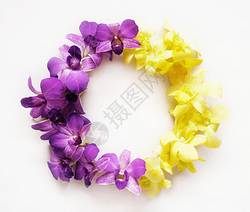 紫色枝桠花环花朵芽圆形的花环由兰做的圆形圈平板背景