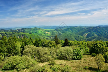捷克语白喀尔巴阡山脉欧洲夏季的山区美丽景色场图片