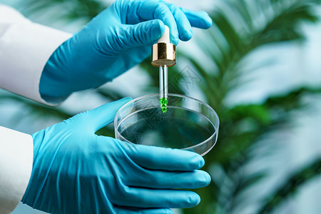 基本的含有绿色石油液体实验室概念的Peteri菜盘和管子化学生物图片