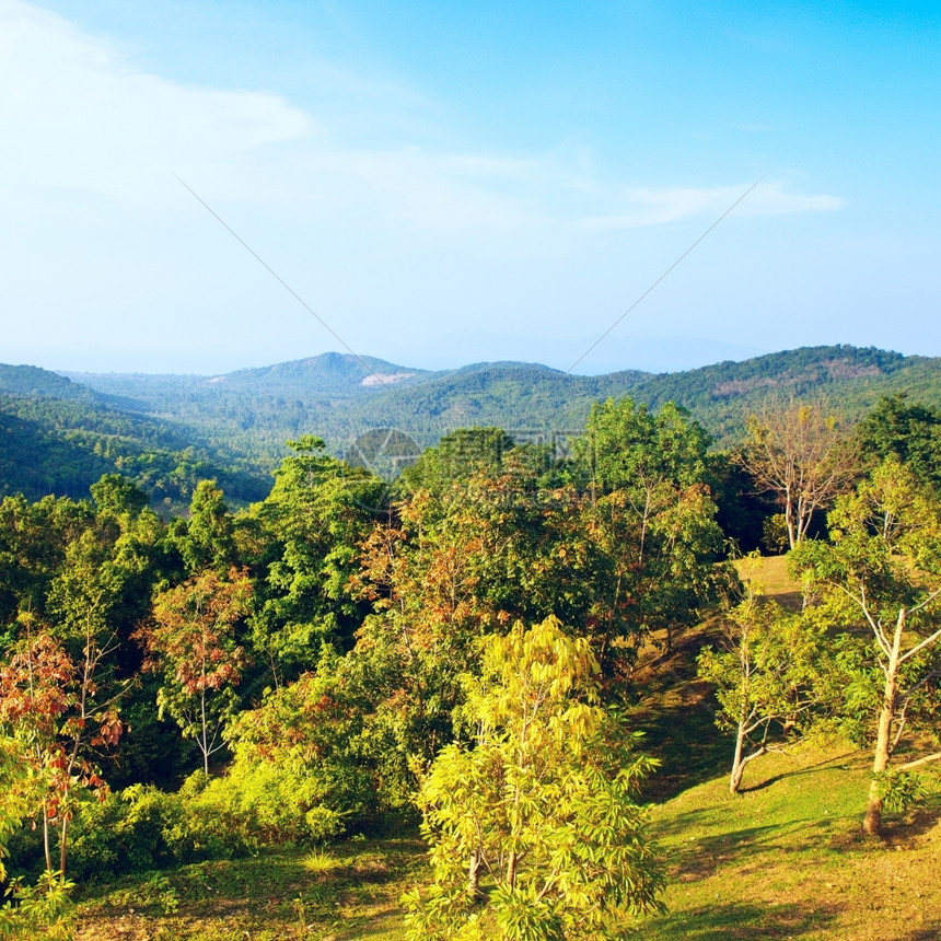 美丽的热带风景高角度视图泰国苏梅高的采取图片