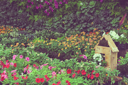 床春天在公园中配有木屋的圆形花朵园和木屋的彩色花卉园新鲜的图片