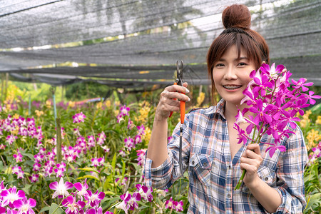 冬天园丁安排了兰花园拿着剪刀切树枝还有兰花热带植物图片