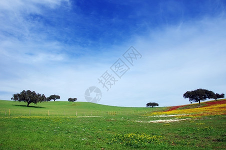 葡萄牙南部Alentejo的花田农业云全景图片