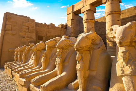 卢克索埃及日出Karnak寺庙Sphinxes大街地标古董图片