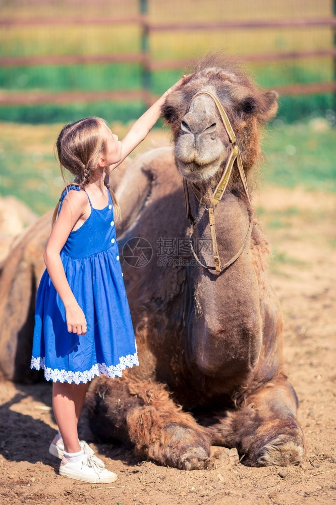 孩子晴天动物园里有骆驼的小女孩在温暖和阳光明媚的夏日家庭休闲节上享受活跃的家庭闲暇时间游客图片