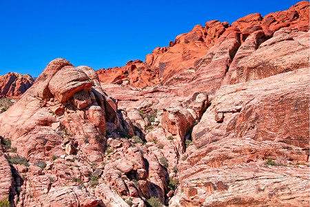 天空观察Mojave沙漠红岩峡谷的干地和红岩形成情况内华达州仙人掌图片