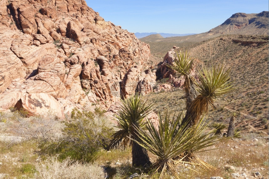 内华达州山风景优美观察Mojave沙漠红岩峡谷的干地和红岩形成情况图片