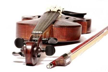 戏剧旋律乐器白背景孤立的弓首主小提琴图片