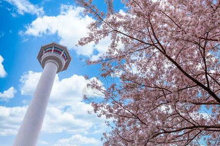吸引力釜山塔有春樱花和蓝天背景南韩釜山永都公园韩国旅行图片
