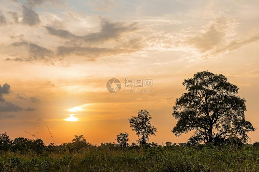 预订日出非洲自然风景和日落的天空树橙图片