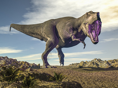肉食性的霸王龙白天在沙漠中咆哮3D渲染霸王龙在沙漠中咆哮渲染使成为经过白垩纪设计图片