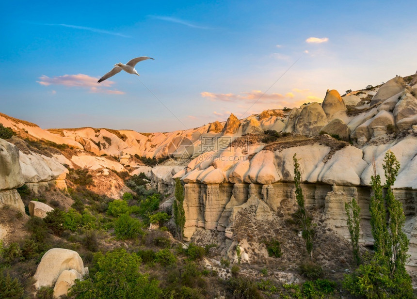 土耳其地日出时鸟在卡帕多西亚的翻岩自然图片