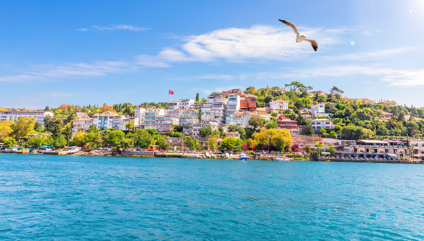 屋历史的伊斯坦布尔观点Bosphorus的亚洲方面历史图片