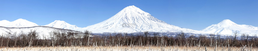 堪察卡半岛群的科里亚斯基火山阿瓦欣斯基火山科日和泽尔斯基火山远的风景生态系统图片