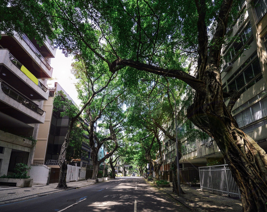 美国城市的巴西里约热内卢伊帕玛的绿树成荫大道景观巴西里约热内卢伊帕玛的绿树成荫大道景观建筑学图片