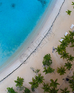 巴伊亚热带沙滩的航拍风景背景