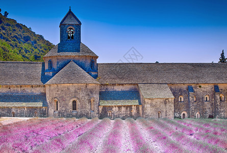 包围法国普罗旺斯塞南克修道院假期阿巴耶背景